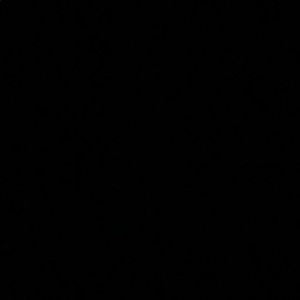 Meet your Posher, Bridget